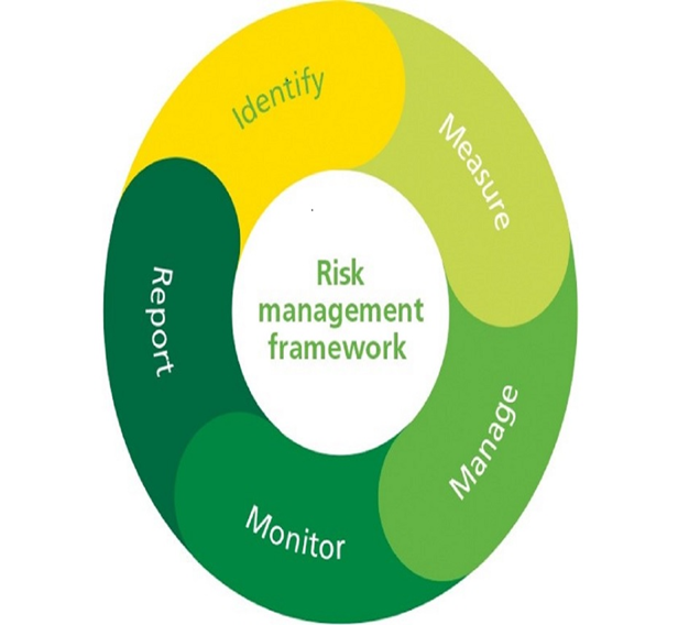 risk mgmt framework